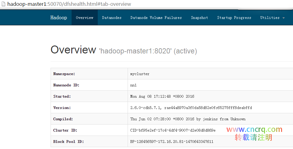 Hadoop 2.6.0 HA高可用集群配置详解（三）-图片7