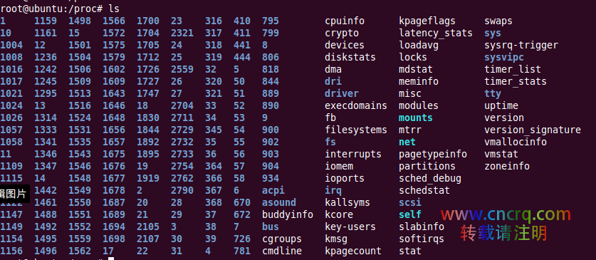 Linux 中必须要了解的命令操作-图片9