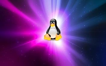 如何在Linux中查找一个文件-图片2