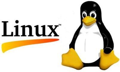 linux下查询命令的技巧