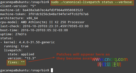 Livepatch —— 免重启给 Ubuntu Linux 内核打关键性安全补丁