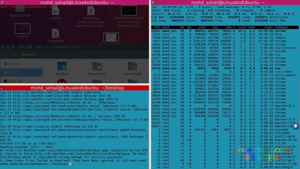 Terminator：一款一个窗口包含多个终端的 Linux 终端仿真器