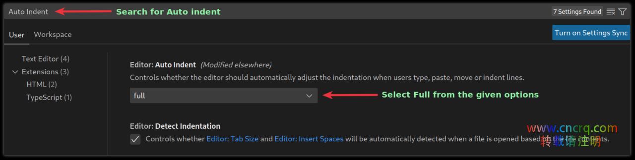 在 VSCode 中自动缩进代码指南-图片2