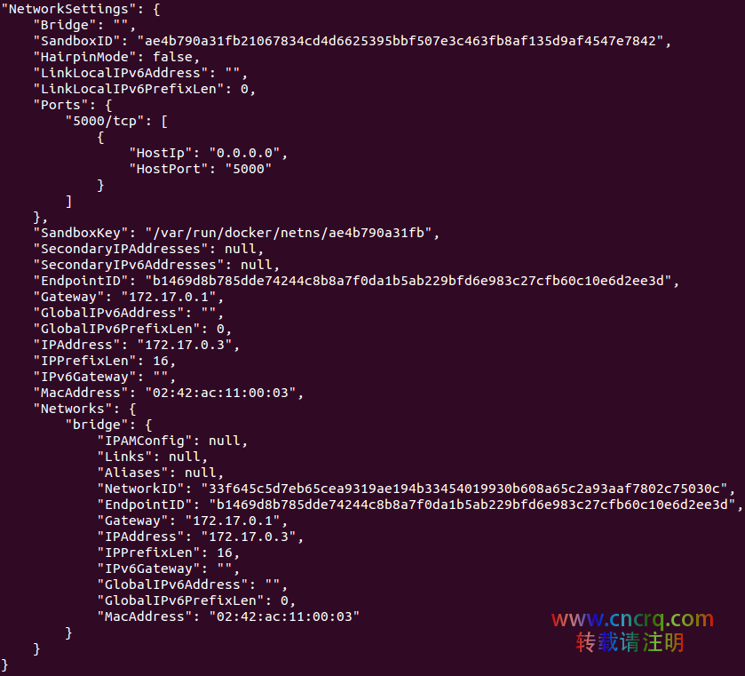 新手指南：通过 Docker 在 Linux 上托管 .NET Core