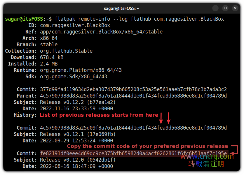 Linux降级Flatpak包-图片2