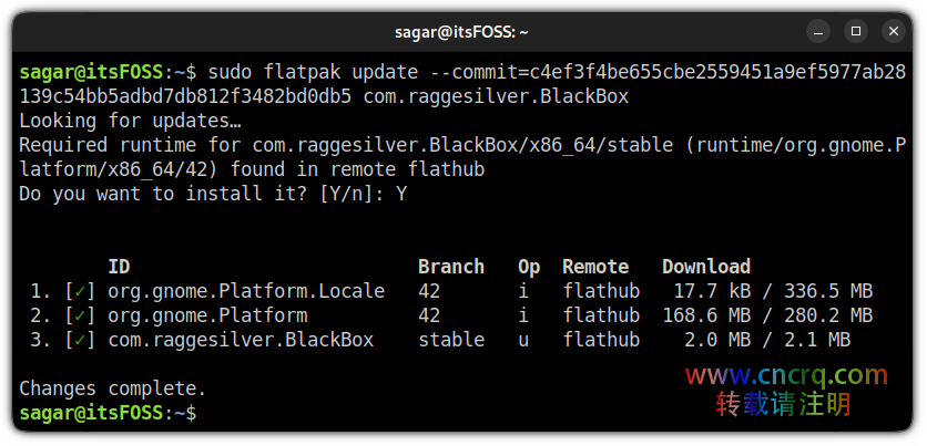 Linux降级Flatpak包-图片3