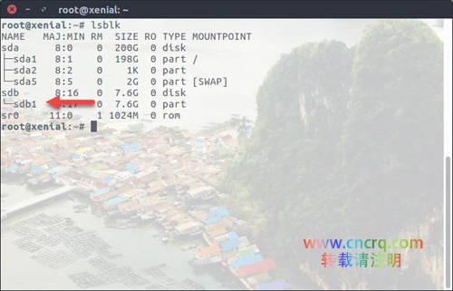 如何在Linux终端中修复U盘驱动器问题