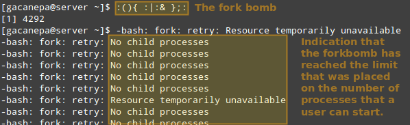 LFCS 系列第十四讲： Linux 进程资源用量监控和按用户设置进程限制