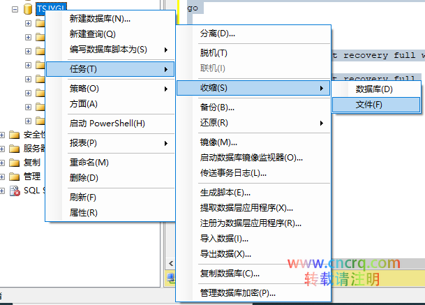 Sql Server 压缩数据库日志文件的方法解析-图片2